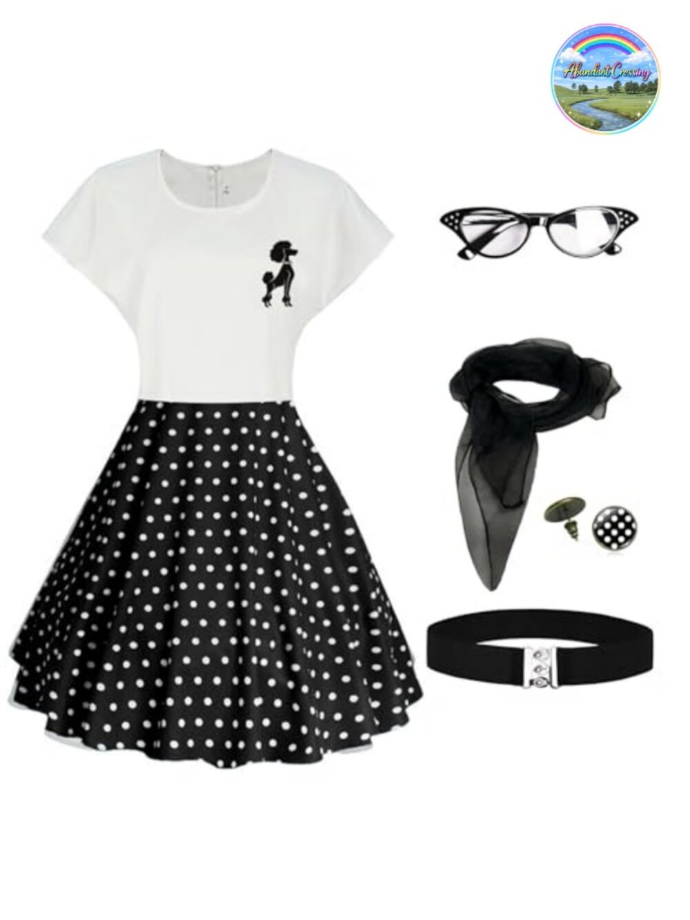 50s Poodle Skirt Costume Set Sock Hop Dress with Accessories